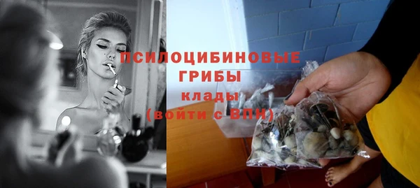 ПСИЛОЦИБИНОВЫЕ ГРИБЫ Покровск