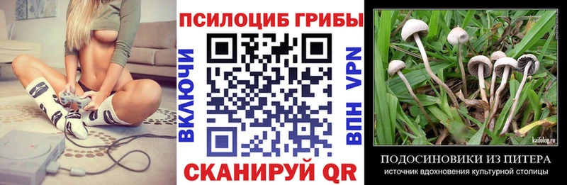 где продают наркотики Славск Псилоцибиновые грибы прущие грибы