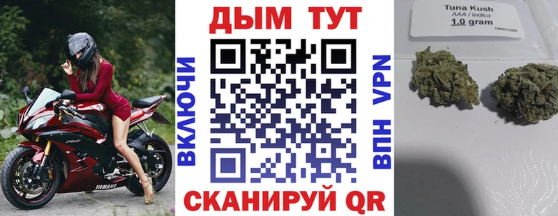 хочу наркоту Славск Шишки марихуана SATIVA & INDICA